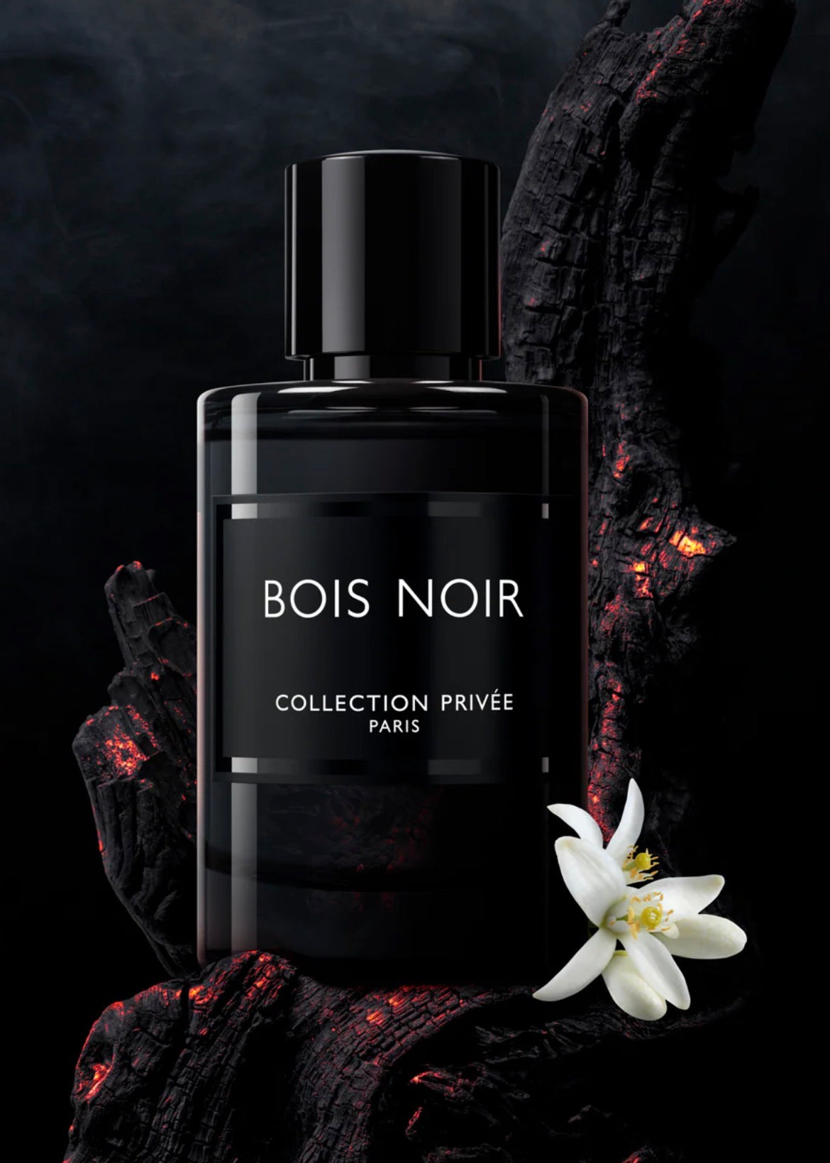 Parfum bois noir
